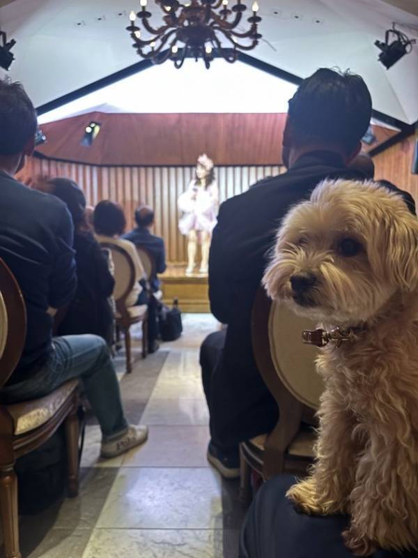 愛犬と楽しむ音楽イベント「わんわんサウンドシエスタ Vol.2」　好評につき6月15日(日)『霞町音楽堂』(東京・麻布)で開催！