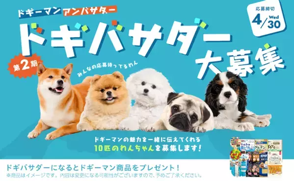 ドギーマンアンバサダー、「第2期ドギバサダー」としてドギーマンの魅力を一緒に伝えてくれる10匹のわんちゃんアンバサダーを今年も大募集！