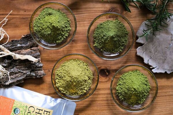 髪にもオーガニックを選ぶ時代へ。「LOSAヘナ」イメージ動画完成！ナチュラル化粧品のLOSAが提案する、ヘアケアの新しい選択。