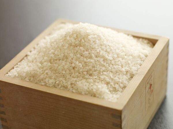 亀山温泉ホテル代表、鴇田 英将の挑戦「令和の虎」完全ALL達成の次は「令和の米騒動」に挑む！！～千葉県産ブランド米「粒すけ」1kg特典付きプランを販売開始～