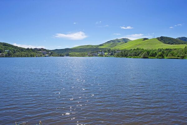 ピングーが白樺湖にやってきた！白樺リゾートで「ピングーしらかばビレッジ」4月19日(土)から開催！