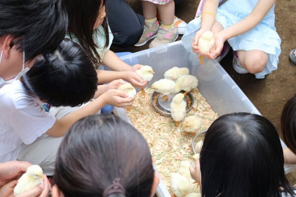 5/18(日)『アニメプロジェクト in 大泉2025』開催！トークショーやワークショップ、お買い物抽選会など限定イベントが盛りだくさん！