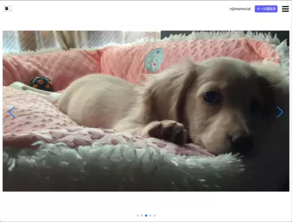 ペットと“ありがとう”を交わせるオンラインペット霊園『虹メモリアル』正式リリース