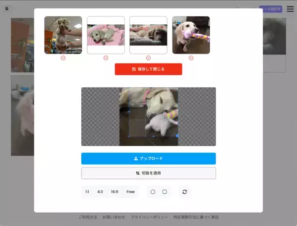 ペットと“ありがとう”を交わせるオンラインペット霊園『虹メモリアル』正式リリース