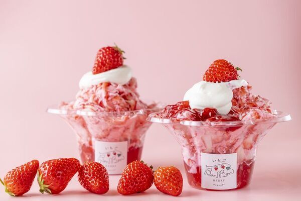 ＜いちご専門店の道の駅＞静岡県産いちごを削ったかき氷「けずりいちごおり」が販売開始！GWの手土産にオススメ・季節限定パッケージ商品も登場