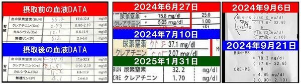 「猫の腎臓病は、不治の病ではない」CAMPFIRE全カテゴリー総合1位、目標金額1300％超の話題沸騰の一冊『猫の腎臓病が治った！』4月25日発売