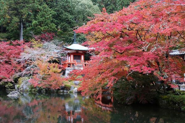 京都・醍醐寺、聖天堂の内部と秘仏・聖天像をGWに初公開！宇賀弁財天も今年6回公開予定