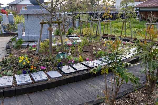 ペット共葬墓の需要増加　滋賀県5年で2倍に　創建350年のお寺が手がけた「ペットと入れる樹木葬」が人気　ペット供養と樹木葬説明会5月11日開催