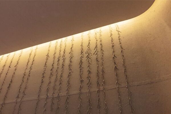 レアル｜最高級町家ブランド「hitotose(ひととせ)」シリーズの第2弾、「Rinn KyotoMiyagawacho hitotose -Natsu-」2025年11月開業へ