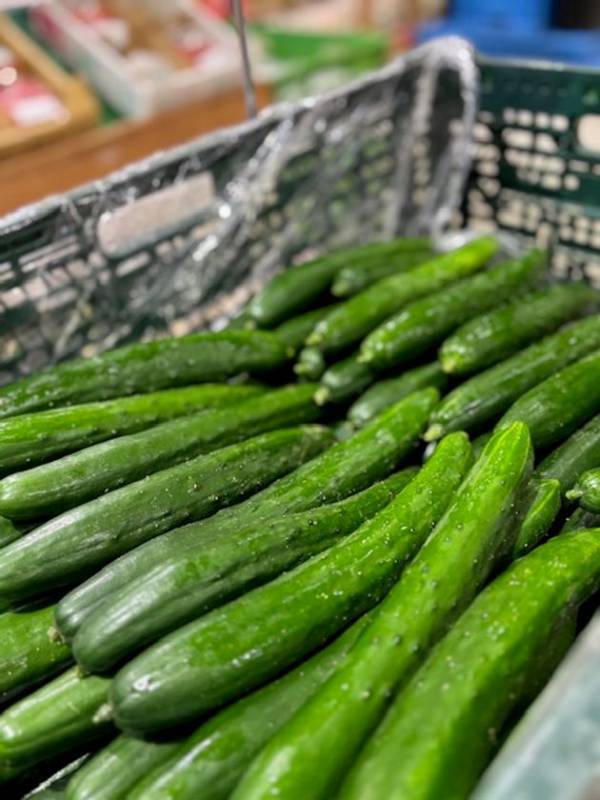 ＼地元生産者様のお野菜大放出！／　群馬県渋川市『上州・村の駅』　お得なお野菜イベントで、地域を元気に盛り上げます！『お野菜大放出祭』4月26日(土)～5月11日(日) 16日間開催