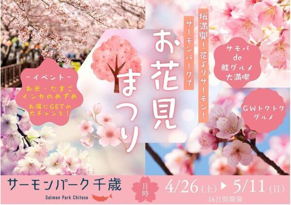 【北海道／サーモンパーク千歳】桜満開！花よりサーモン！サーモンパークでお花見まつり　4月26日(土)～5月11日(16日間)まで開催！