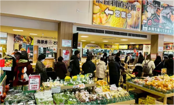【北海道／サーモンパーク千歳】桜満開！花よりサーモン！サーモンパークでお花見まつり　4月26日(土)～5月11日(16日間)まで開催！