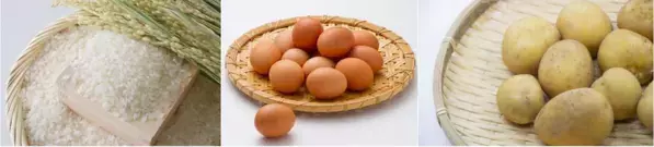 【北海道／サーモンパーク千歳】桜満開！花よりサーモン！サーモンパークでお花見まつり　4月26日(土)～5月11日(16日間)まで開催！