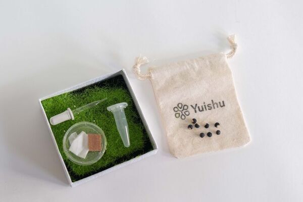 世界初！ペットのDNAを植物に宿し、喪失の痛みを癒す新サービス『Yuishu(ゆいしゅ)』を4月24日に提供開始