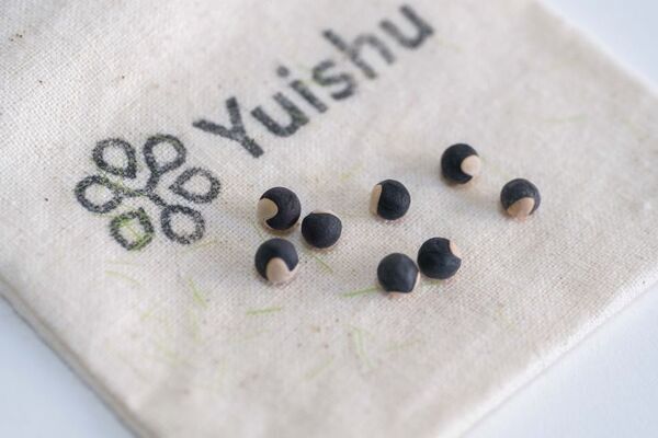 世界初！ペットのDNAを植物に宿し、喪失の痛みを癒す新サービス『Yuishu(ゆいしゅ)』を4月24日に提供開始