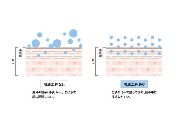 表参道発、石鹸専門店がつくった、“肌を素早く弱酸性に戻す”スキンケアシリーズ誕生　表参道本店、オンライン、伊勢丹新宿店にて4/23に同時発売