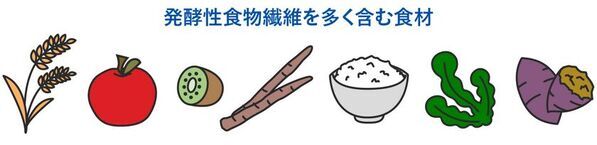 ビフィズス菌がいないと、せっかく摂った食物繊維が太る原因に！？新コラム『食物繊維とビフィズス菌がつなぐ“菌のリレー”』を4月25日にWEBサイトで公開