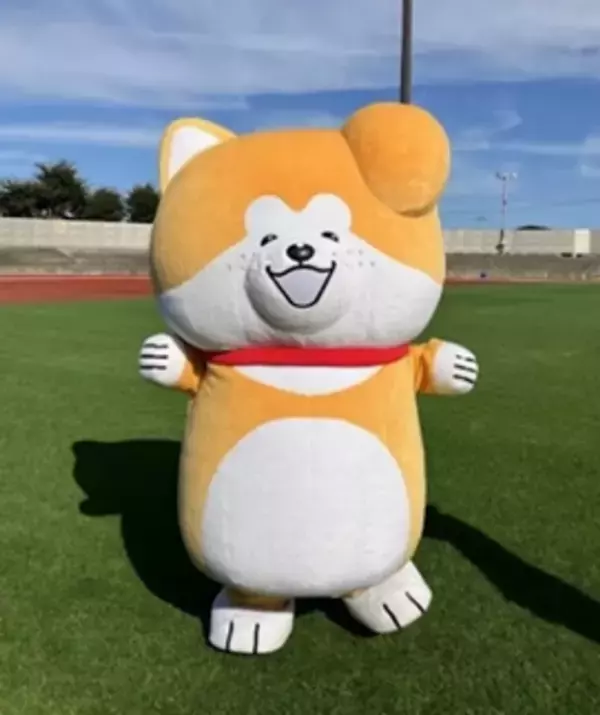 「秋田犬たれみみだいちゃんぬいぐるみ」発売記念グリーティングイベントを東京・渋谷にて4月25日より開催！