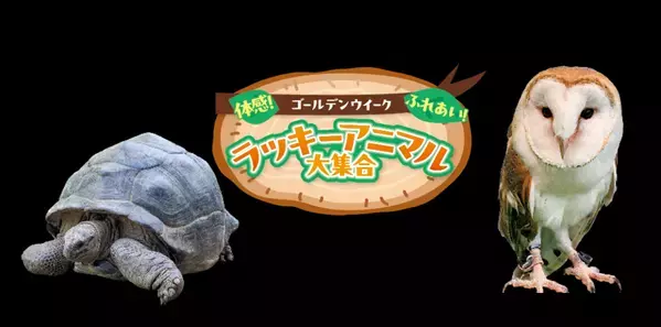 「Go！Go！ゴールデンウィーク」特集