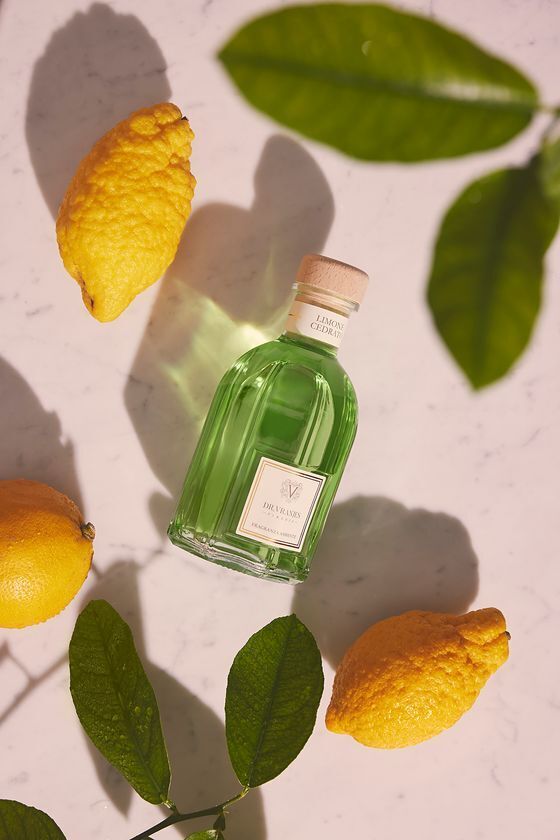 ドットール・ヴラニエス、メディチ家の庭園から着想を得たディフューザーの新たな香り「LIMONE CEDRATO」を4月24日(木)発売