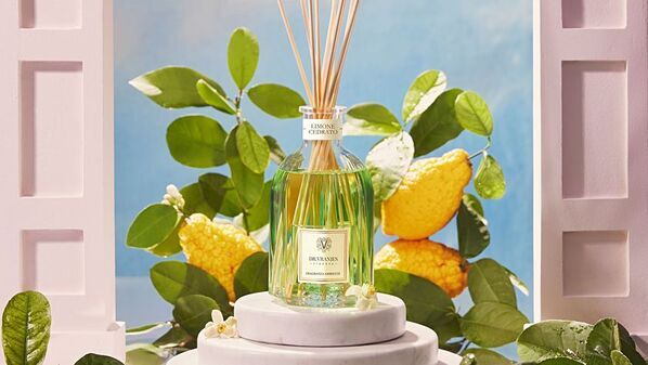 ドットール・ヴラニエス、メディチ家の庭園から着想を得たディフューザーの新たな香り「LIMONE CEDRATO」を4月24日(木)発売