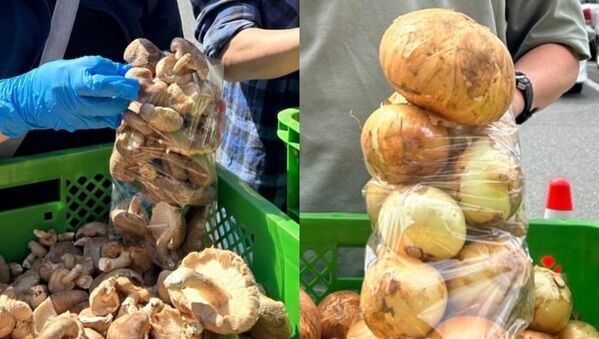 道の駅ローズマリー公園はなまる市場、「楽しさはなまる！！！GW祭り！！」4月26日(土)から5月6日(火・振休)までGWイベントを開催