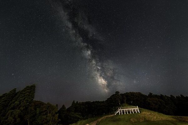 星蛍の幻想を切り撮る　宿泊プランを実施