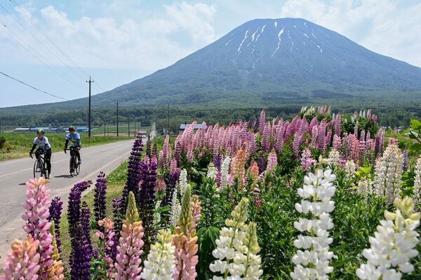 後志地域の魅力を満喫する新しいサイクリングイベント「ニセコディスカバリーサイクリング2025」6/14(土)開催！