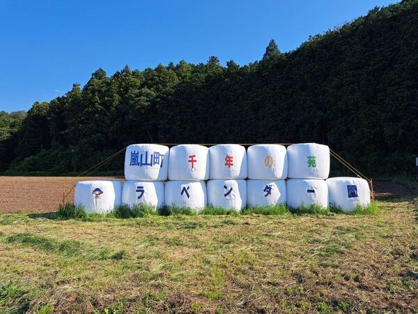 ラベンダーの薫る町で『らんざんラベンダーまつり』を6月6日から開催。今年は見学料無料！華やかなスイーツやオリジナルフードも販売