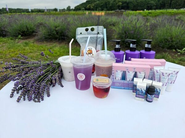 ラベンダーの薫る町で『らんざんラベンダーまつり』を6月6日から開催。今年は見学料無料！華やかなスイーツやオリジナルフードも販売