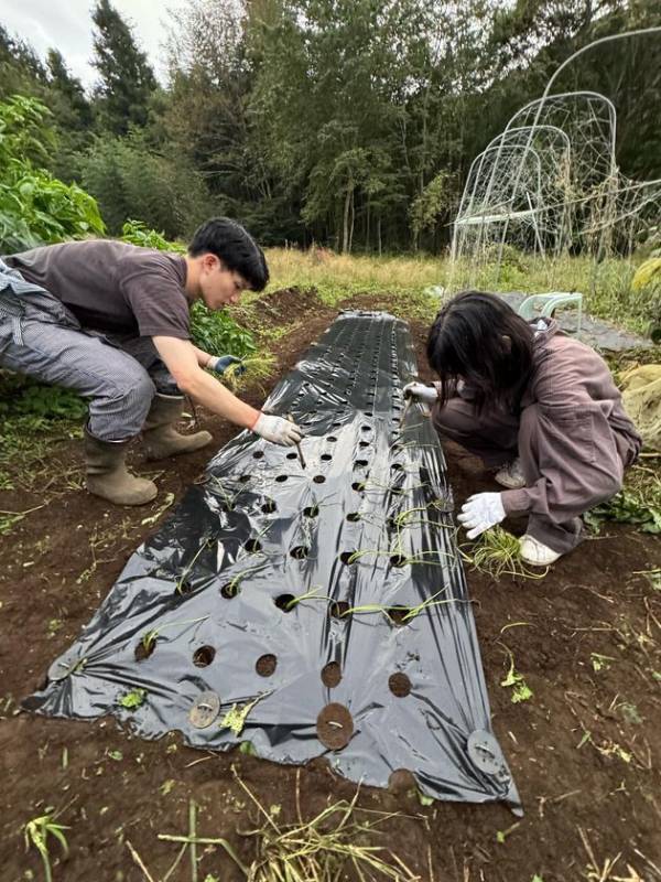 子どもたちと一緒に学ぶ楽しさを実感！幼児から中学生を対象としたキャンプ(自然体験活動)でのボランティアスタッフ募集