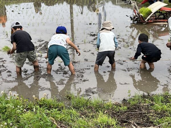 千葉県・ユーカリが丘「子どもの事を一番に考えたらユーカリが丘」　～新たな子育て応援プロジェクトの第一弾として5月10日に田植え体験を実施～