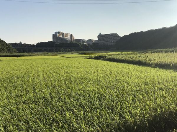 千葉県・ユーカリが丘「子どもの事を一番に考えたらユーカリが丘」　～新たな子育て応援プロジェクトの第一弾として5月10日に田植え体験を実施～