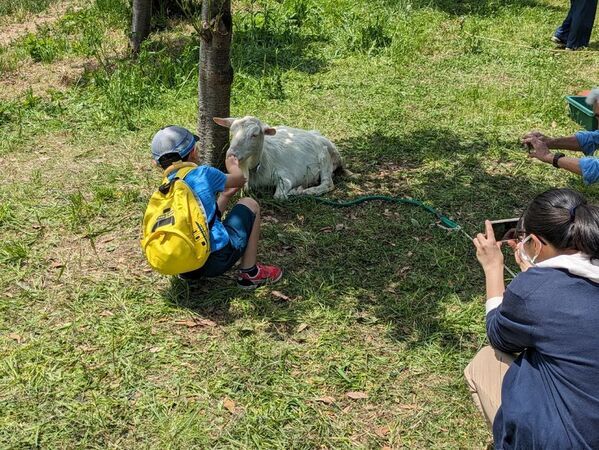 明治学院大学が5/24・5/25に「戸塚まつり」を横浜キャンパスで開催！能登半島復興支援企画・江ノ電バスと連携した企画も実施