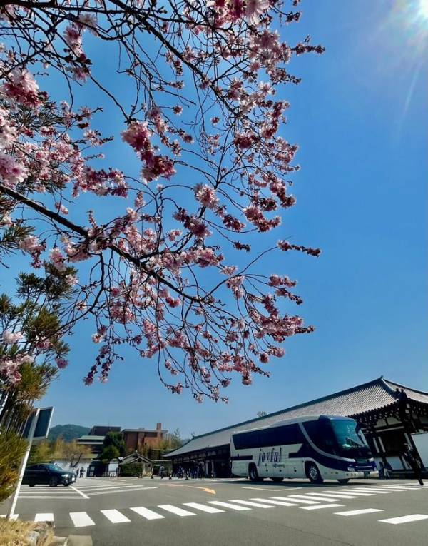 観光シーズン到来！インバウンドに特化したバス会社「ジョイフル観光」が会社HPを全面リニューアル