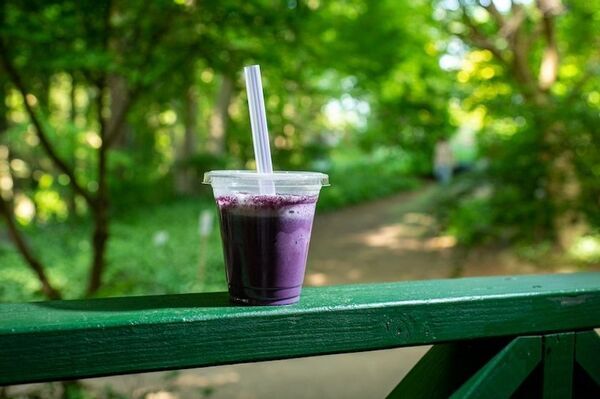 芍薬が彩る春の庭「つくば牡丹園」、いよいよクライマックスへ　水面に浮かぶ「芍薬の花筏(はないかだ)」今年も登場