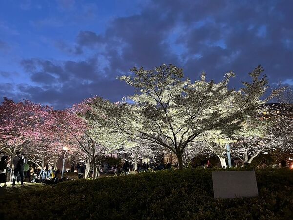 「キッチンカーでエシカルを！」をテーマに全国47都道府県から多くの農家さんが大阪に集結した『にっぽん青果祭』に出店！