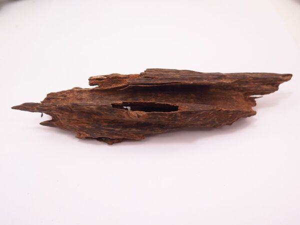 お香の老舗「香源」香木買取事業部を新設立　希少資源を守り、日本の香り文化と環境保護に貢献