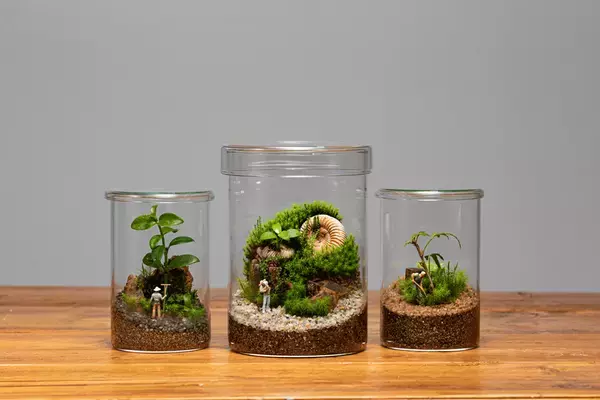 60,000点以上の作品から“自分だけの宝物”をみつけよう！「ヨコハマハンドメイドマルシェ2025」6/14(土)・15(日)開催