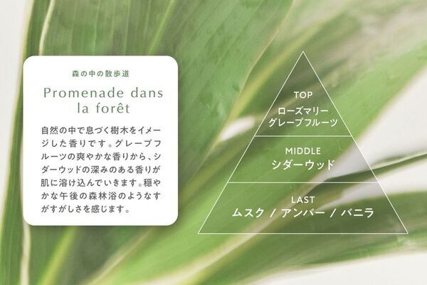 アルコール、界面活性剤フリーの水性香水「kaoriaウォーターパフューム」を発売　あわせて「ムエットでお試しキャンペーン」を5月31日まで実施