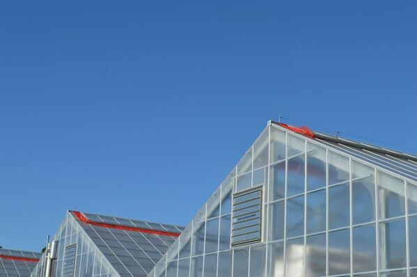 都心から最短60分！希少な“国産生ライチ”収穫体験プランを高級フルーツブランド「千の葉ライチ」圃場にて5月20日予約受付開始