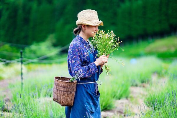 参加費無料の体験もご用意！5つの集中リトリート体験を善玉菌リトリート施設HOLY FUNGUSで実施