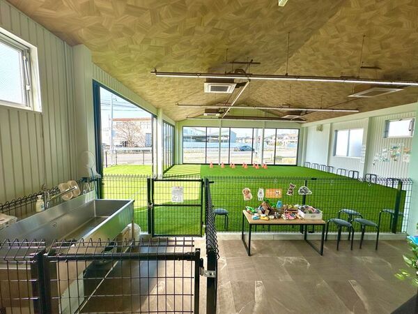 猛暑でも快適に！エアコン完備の室内ドッグラン「コルク」夏の利用急増中！