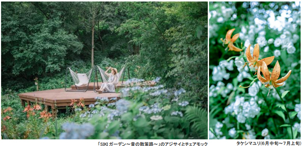 ROKKO森の音ミュージアムSIKIガーデンSummer Seasonアジサイ、バラ、ユリに彩られた避暑地のナチュラルガーデン2025年6月21日（土）～8月22日（金）