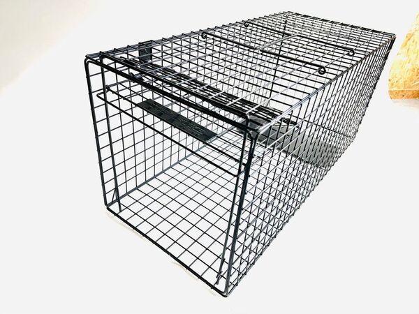 世界で一番猫にやさしい捕獲器「TORASUKE(トラスケ)」ついに完成。初回300台限定の発売に向け、明日5月20日(火)より予約受付開始！