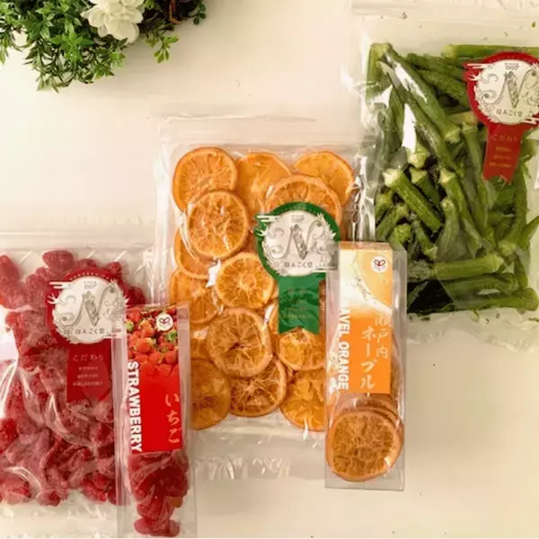 全国から神戸に作家が集結！手づくりの祭典で「好き」をみつけよう　「神戸ハンドメイドマルシェ2025」6/28(土)・29(日)開催