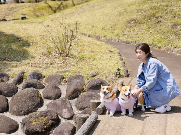 愛犬家に朗報！ワンちゃん同伴無料で楽しむ日光グランピング　6月限定「わんダフル」な特典付きグランピングプラン登場！