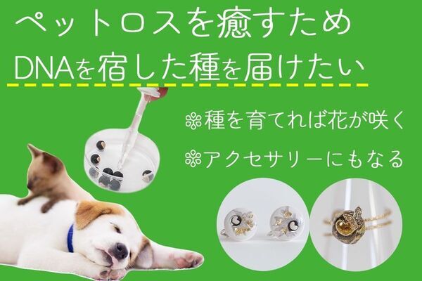 ペットのDNA×植物のタネでペットロスに寄り添う新サービス『Yuishu(ゆいしゅ)』が5月15日にクラウドファンディングを開始
