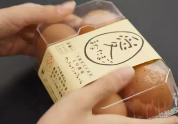 ［沖縄初］夏休みは子どもが主役！泊まって学ぶファミリー向け“旅育”イベント「EMウェルネス 暮らしの発酵ライフスタイルリゾート」で開催