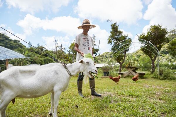 ［沖縄初］夏休みは子どもが主役！泊まって学ぶファミリー向け“旅育”イベント「EMウェルネス 暮らしの発酵ライフスタイルリゾート」で開催